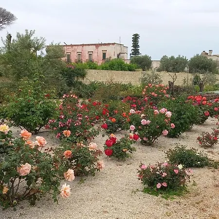 Casa Delle Rose *