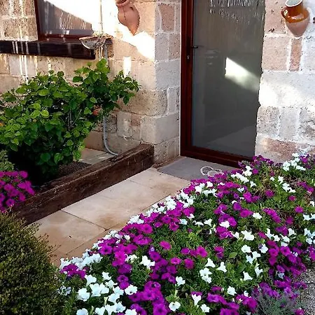 Casa Delle Rose